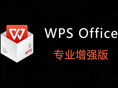 最新 WPS 2025 专业版增强版，内置永久授权，价值远超 5000